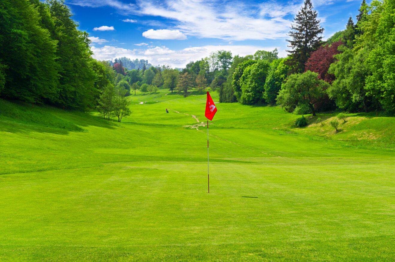 A golf green and flag stick with the course in the background.