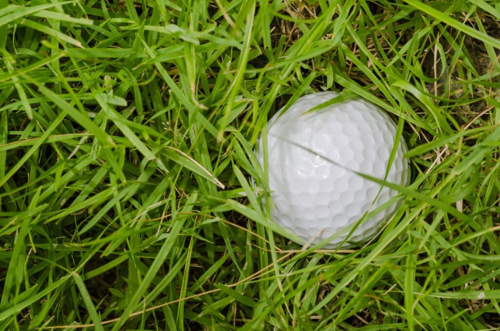 A golf ball buried in deep grass.